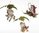 Twiggy Knoll: Waldgnom an Blätterschirmchen