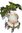 Twiggy Knoll: Waldgnom mit Blätterschirmchen  und Kardinal Vogel