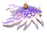 Krabbe lila