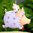 Mini Anhänger Tinkerbelle - Fliegendes Glücksschwein
