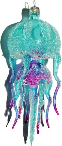 Jellyfish Qualle aqua