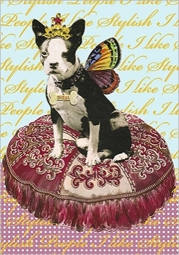 Glamour Mini Klappkarte Zozo the Magic Queen: Butterflydog