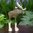 Woodland Mini Elch Anhänger Milton Moose