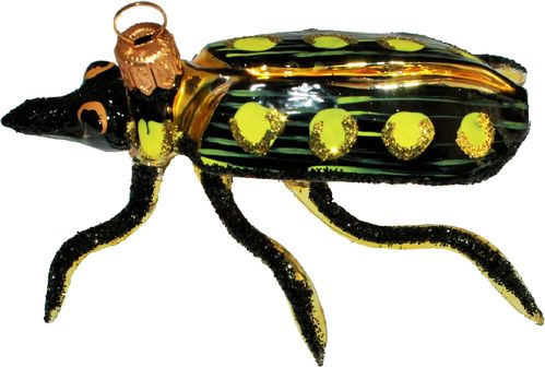 Schwarz-gelber Käfer